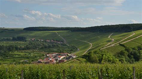 Die Besten Winzer Der Weinregion Franken Vinum Weinguide 2022