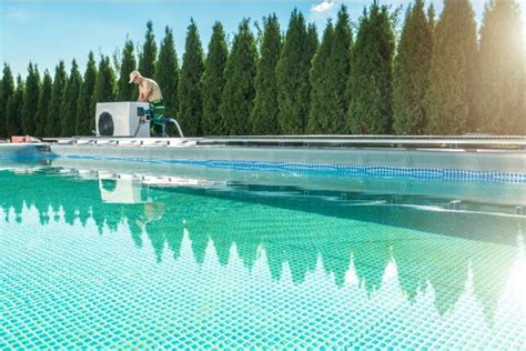 Comment Bien Choisir Une Pompe Chaleur De Piscine