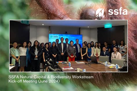 ssfas workstream  nature financing singapore sustainable finance