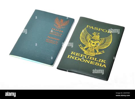 Passport Cover Background