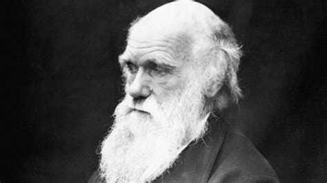 Las 70 Mejores Frases Y Reflexiones De Charles Darwin