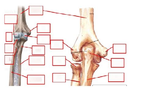 Art Cubiti Deel 2 2 Diagram Quizlet