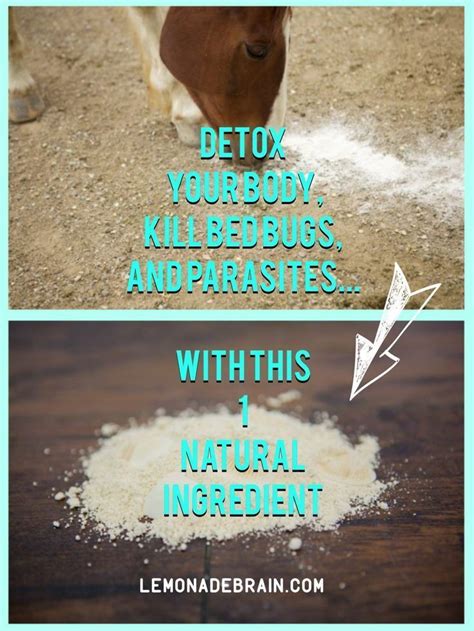 Diatomaceous Earth And It S Many Benefits Diatomaceous Earth