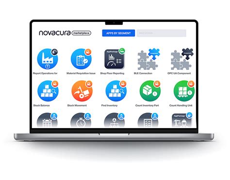 A Palette Of Ifs Services Offered By Novacura Trusted Ifs Partner