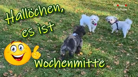 Hall Chen Es Ist Wochenmitte Und Schicke Dir Liebe Gr E Zum Mittwoch