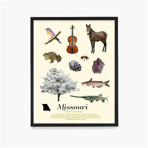 Missouri State Symbols Poster, Missouri Art, Missouri Poster, Missouri Wall Art, Missouri Decor ...