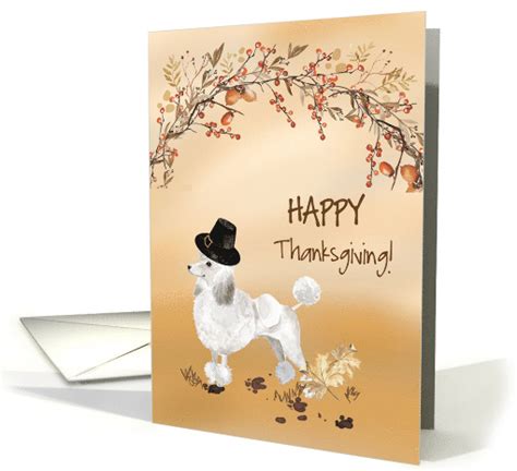 White Poodle Funny Pilgrim Hat Thanksgiving Card 1784278