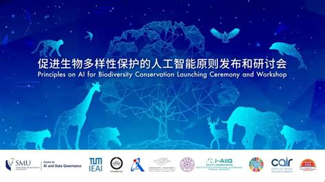 科技向善：促进生物多样性保护的人工智能原则发布和研讨会在京举办 清华大学人工智能国际治理研究院中文