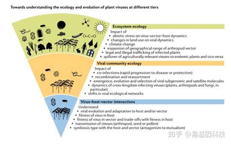 易基因｜植物宏病毒组研究：植物病毒的进化与生态 顶刊综述 知乎