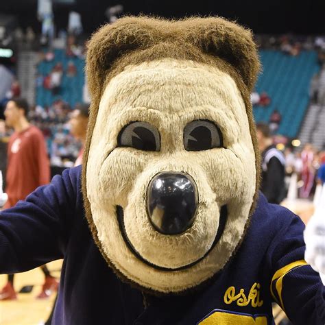 Uc Berkeley Mascot