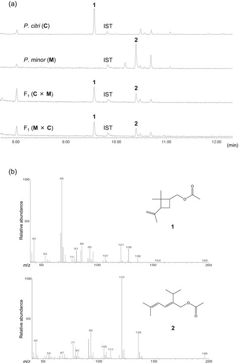 A Total Ion Chromatograms Of Representative Samples Of Headspace