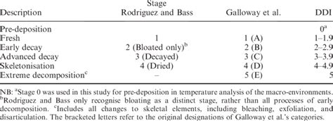 Stages Of Human Decomposition Worksheet