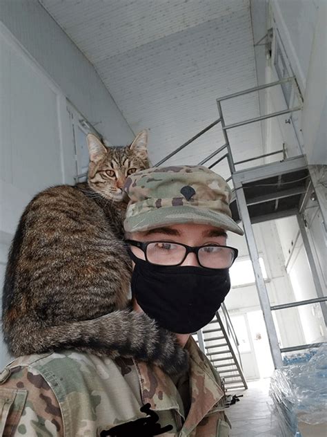 Us Army Soldier Saves Cat On Deployment Seeks Help Bringing Her Home