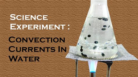 Convection Currents In Water Easy Science Practicals For Kids By