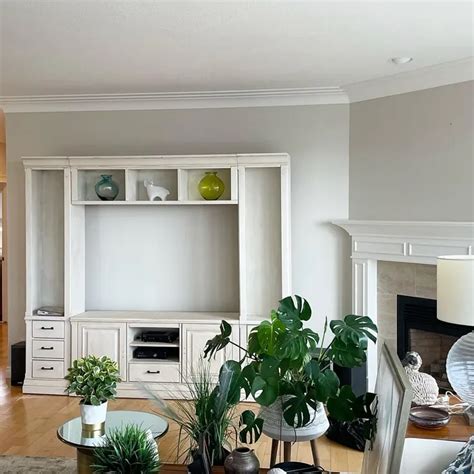 Benjamin Moore Fog Mist OC 31 Paint Color