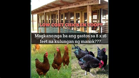 Murang Kulungan Ng Manok Magkano Nga Ba Ang Gastos Sa X Ft