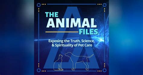 Tails Tell Tales The Story Behind Dog Communication The Animal Files
