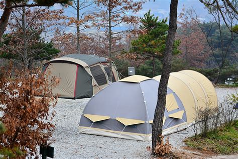 용인단풍숲캠핑장 경기도 용인시 처인구 가볼만한곳 관광지랭킹