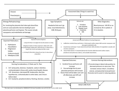 Concept Map Isha Preeclampsia Pdf Blood Pressure Organ Anatomy