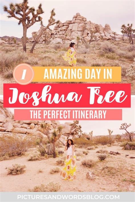 The Perfect Joshua Tree Day Trip One Day In Joshua Tree Itinerary