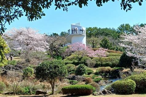 Ganztägiges Highlight Erlebnis auf der West Jeju Insel Jeju Island