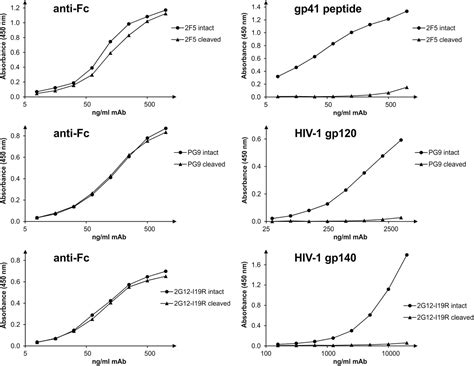 Steric Accessibility Of The Cleavage Sites Dictates The Proteolytic