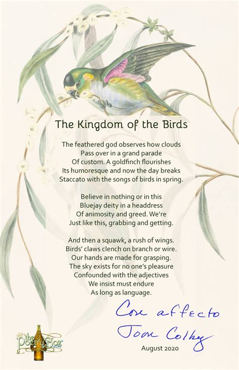 The Kingdom Of Birds The Poetry Box