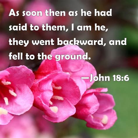 John 186 As Soon Then As He Had Said To Them I Am He They Went