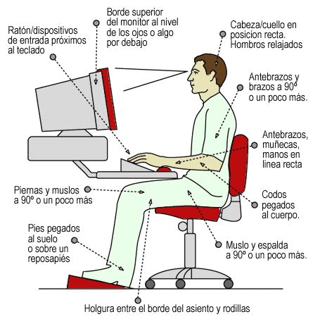 La Importancia De La Antropometr A Est Tica En El Mundo De La Moda