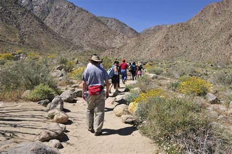 Even with no flowers, Anza-Borrego's desert inspires