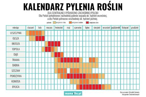 kalendarz feb 2021 kalendarz pyleń bylica alergia