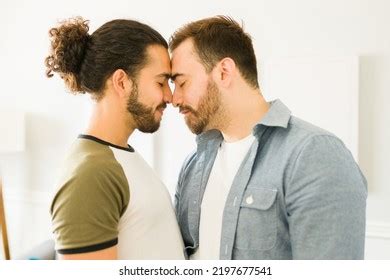 Profile Beautiful Gay Couple Touching Their Stock Photo 2197677541