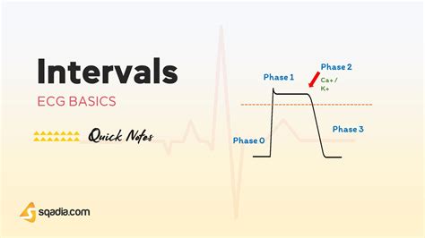 ECG Basics - Intervals