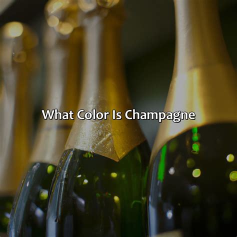 What Color Is Champagne - colorscombo.com