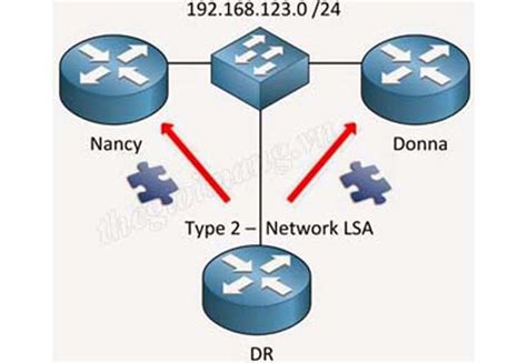 Tìm Hiểu Các Loại Area Lsa Type Network Type Trong Giao Thức định