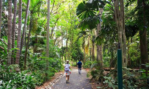 Free Guided Tour City Botanic Gardens Brisbane City Council