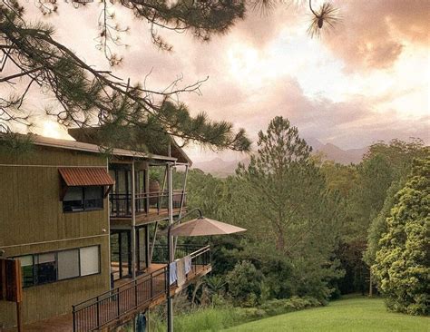 introducing uki  hidden tweed valley gem kiff culture