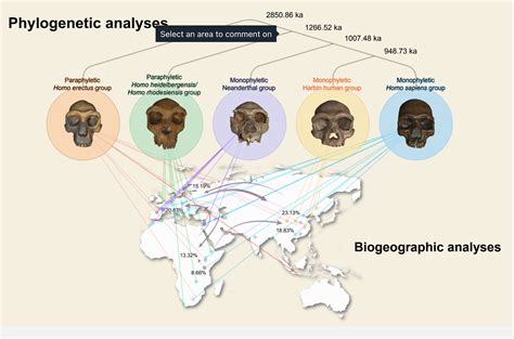 Homo Longi Extinct Human Species That May Replace Neanderthals As Our Closest Relatives Found