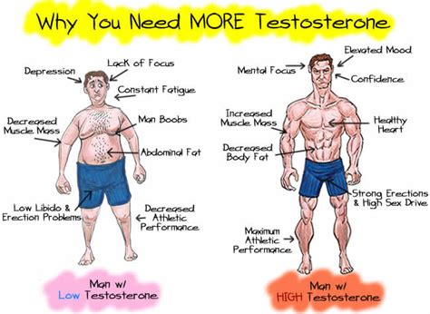 Benefits Of Testosterone Booster