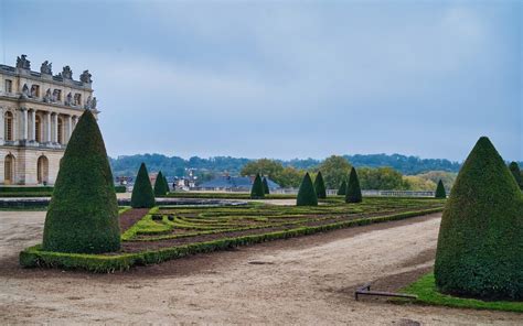 Boxwood Shrubs Landscaping IDEAS | Landscape Ideas