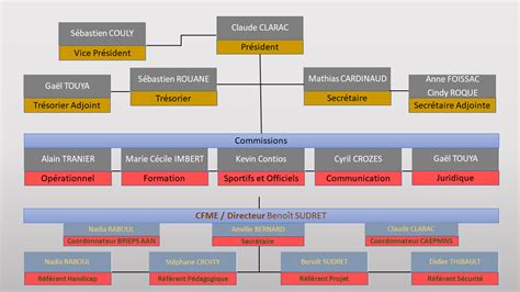 Organigramme Comit D Partemental De Sauvetage Et De Secourisme