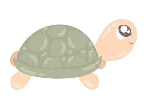 turtle cute animal 16755633 Vector Art at Vecteezy