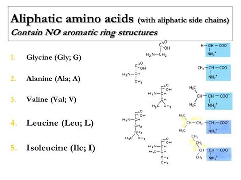 Lecture 2 3 Protein Chemistry