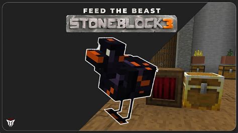 Stoneblock 3 EP03 CHICKENS YouTube