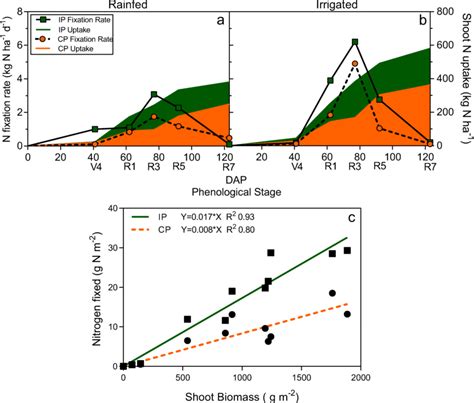 Soybean Nitrogen Fixation Rate And Plant N Uptake Over The Growing