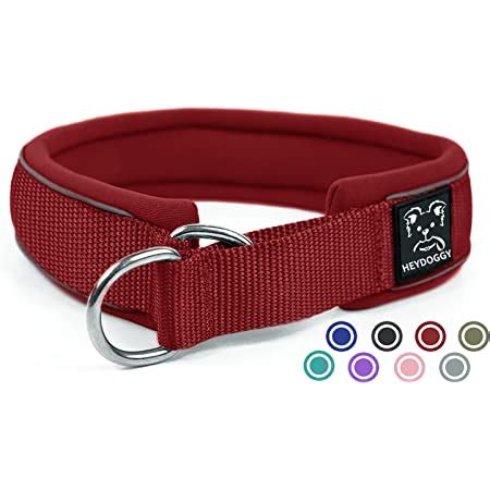 Weich Neopren Gepolstert Hundehalsband 4cm Breite Reflektierend Hund