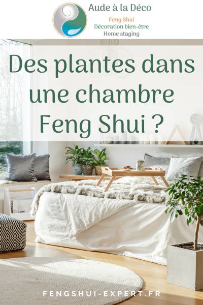 Les Plantes Dans Une Chambre Feng Shui Expert Feng Shui Aude La D Co