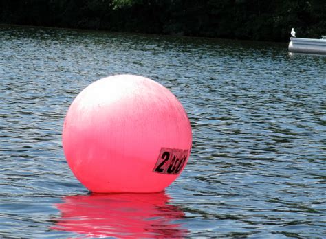 What Are Those Red Buoys For Wilson Lake Association