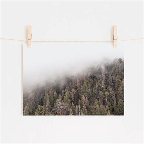 Foggy Forest Art, Nature Photography, Mountain Wall Art, Woodland Forest Print, Rustic Landscape ...