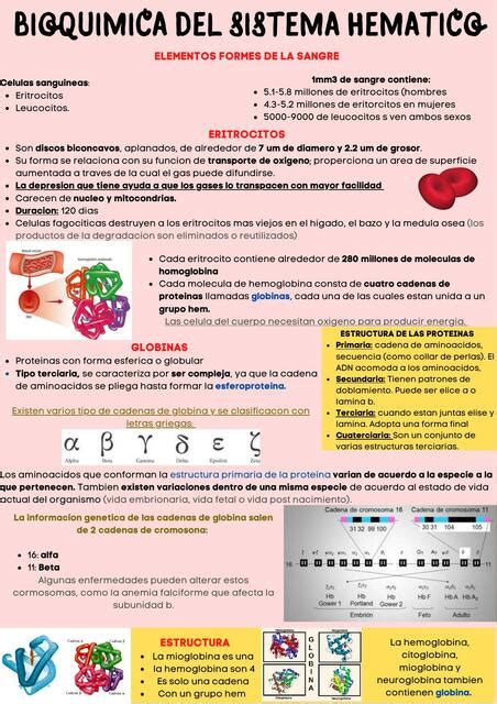 Bioquimica Del Sistema Hematico Brissa Jurado Udocz